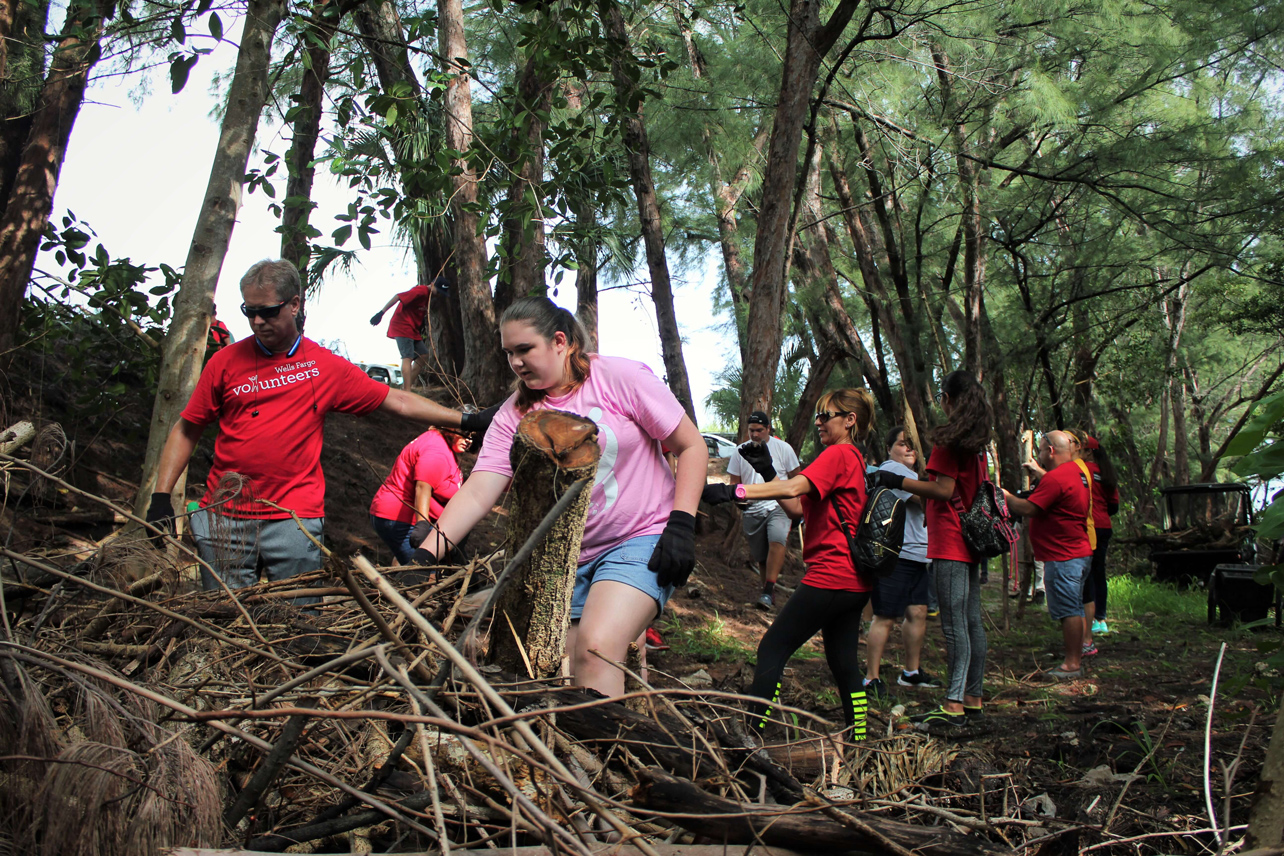 Habitat Restoration & Ecosystem Stewardship